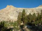 sequoianp519_small.jpg