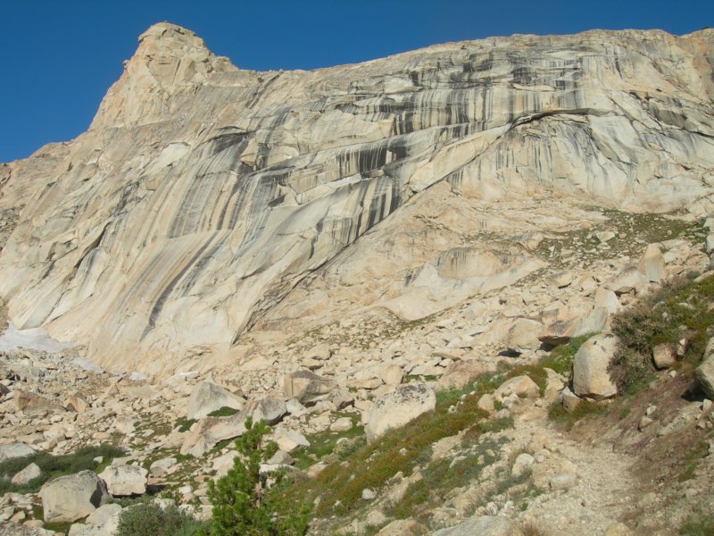 sequoianp521.jpg