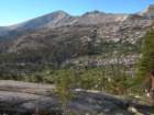 sequoianp524_small.jpg
