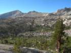 sequoianp525_small.jpg
