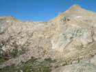 sequoianp530_small.jpg