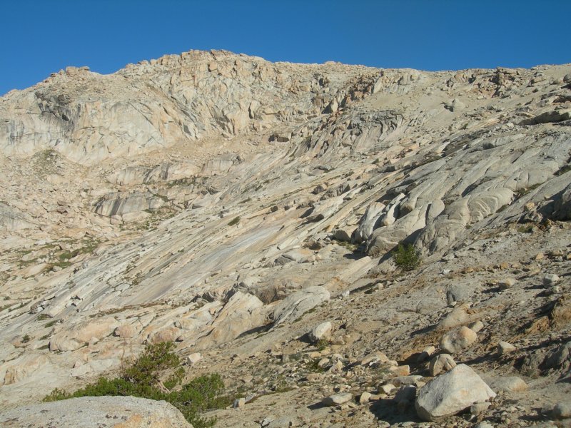 sequoianp531.jpg