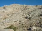 sequoianp531_small.jpg