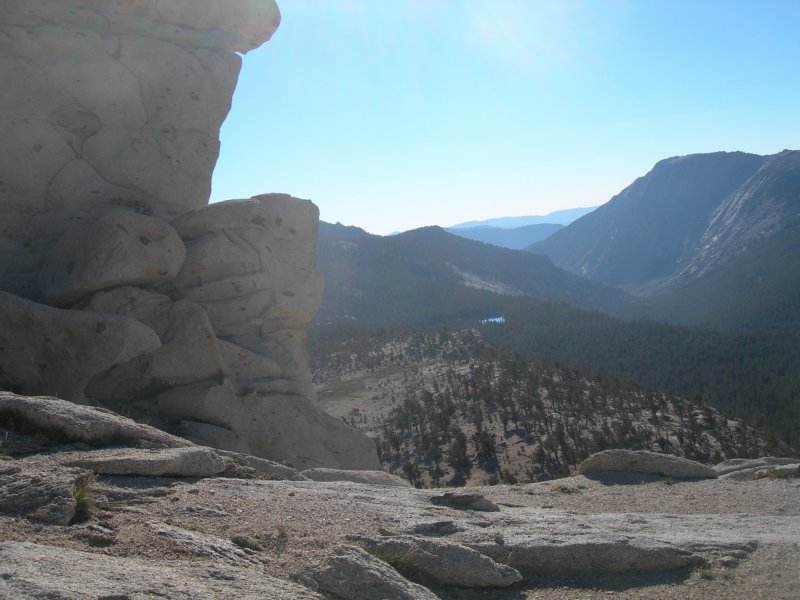 sequoianp533.jpg