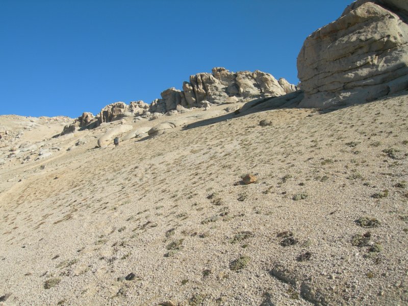 sequoianp534.jpg