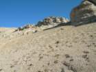 sequoianp534_small.jpg
