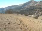 sequoianp535_small.jpg