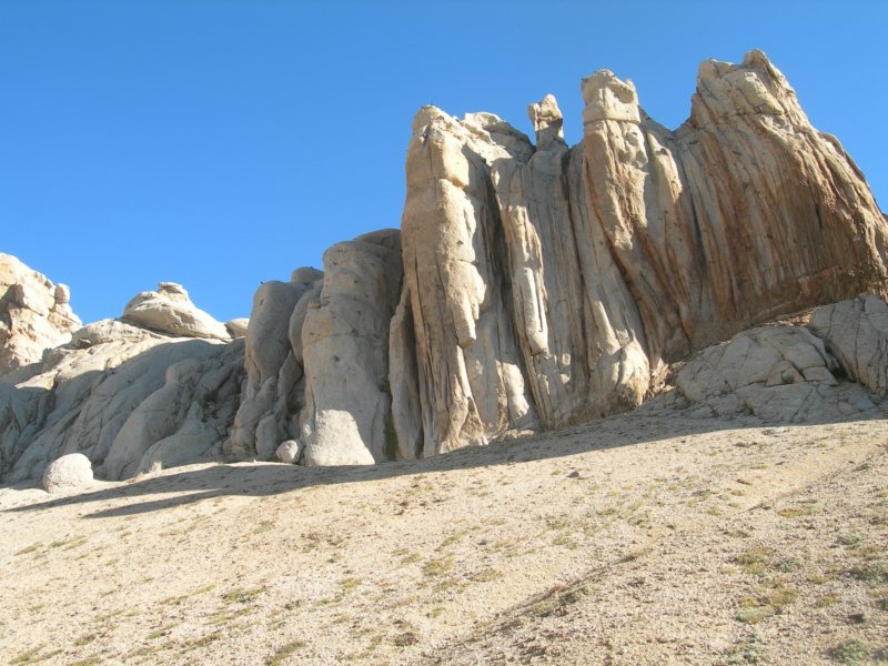 sequoianp537.jpg