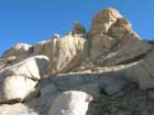 sequoianp538_small.jpg