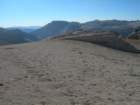 sequoianp540_small.jpg