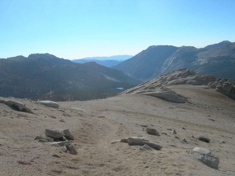 sequoianp542.jpg