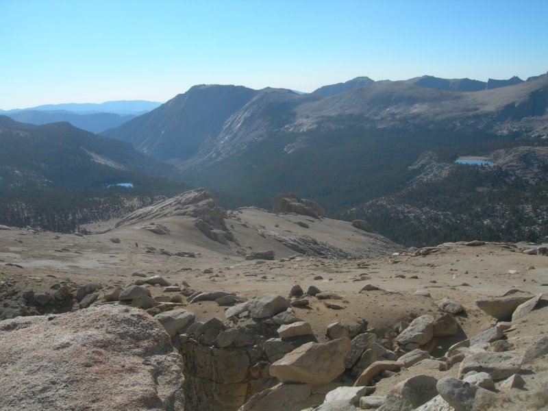 sequoianp548.jpg