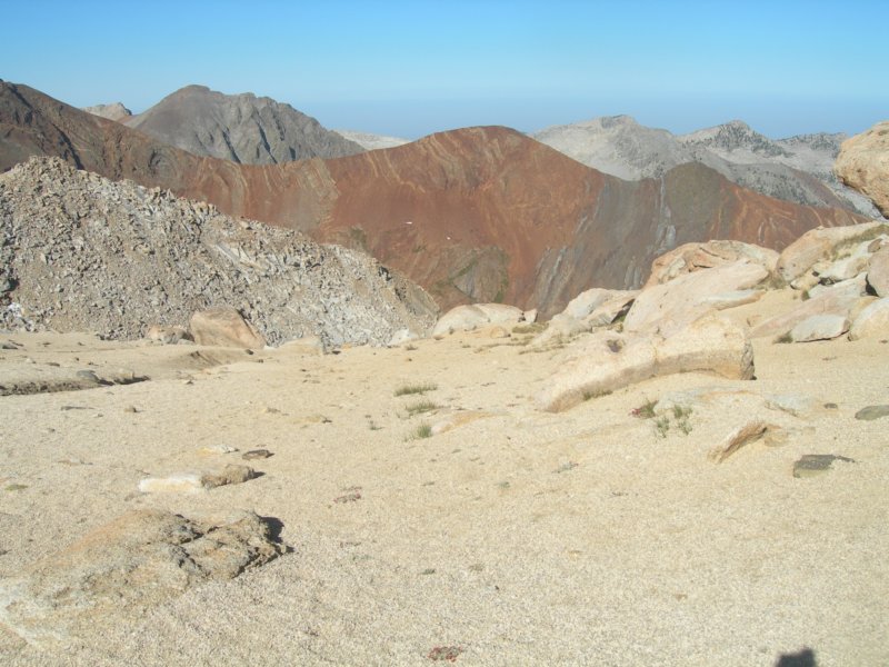 sequoianp550.jpg