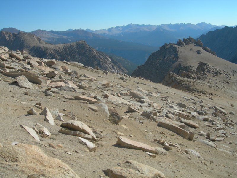 sequoianp551.jpg