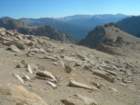 sequoianp551_small.jpg