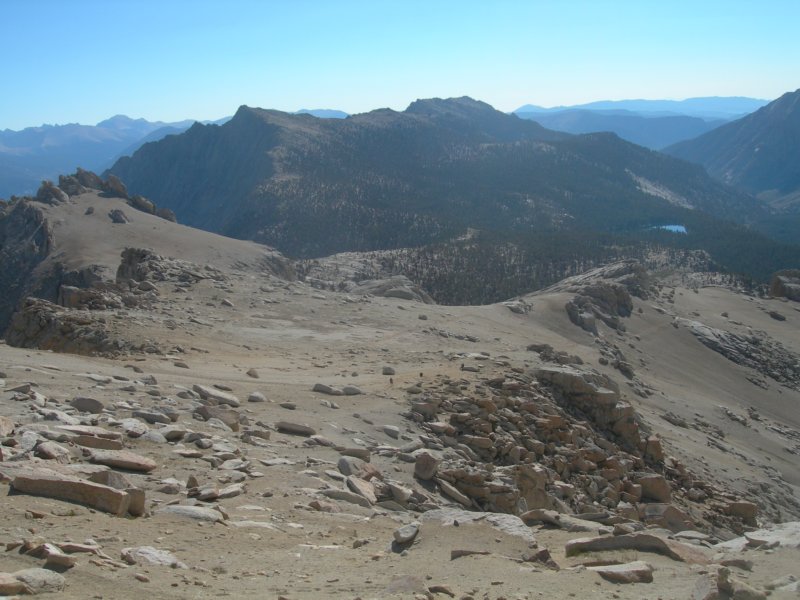 sequoianp552.jpg