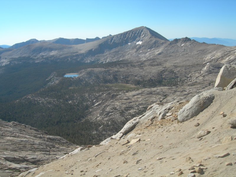 sequoianp554.jpg