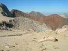 sequoianp556_small.jpg