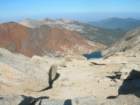 sequoianp558_small.jpg
