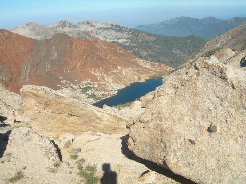 sequoianp559.jpg