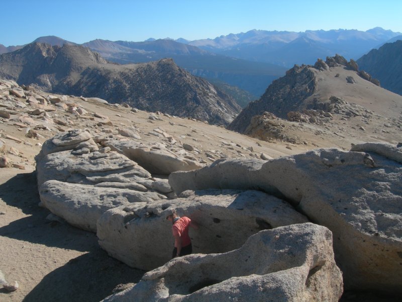 sequoianp563.jpg