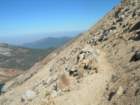 sequoianp566_small.jpg