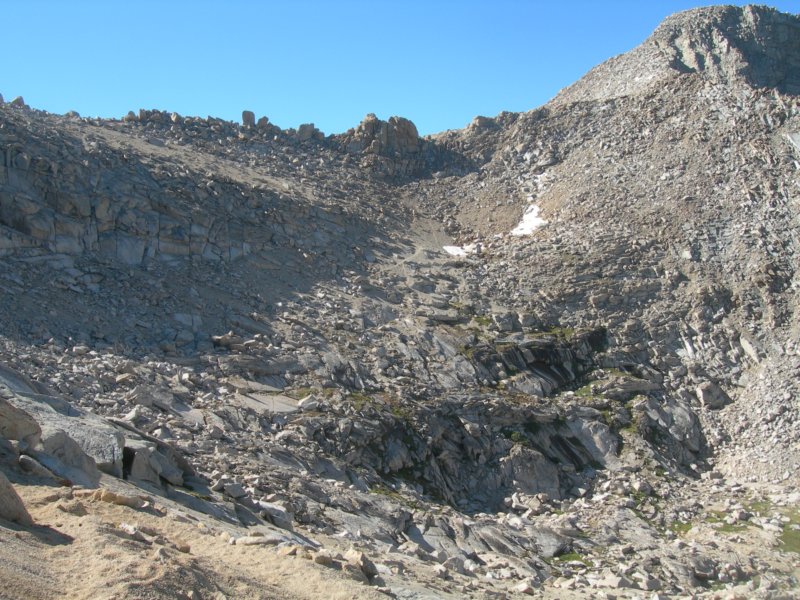 sequoianp569.jpg
