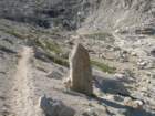 sequoianp572_small.jpg