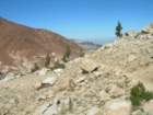 sequoianp575_small.jpg