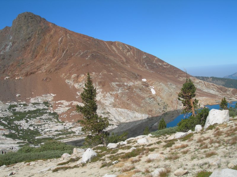 sequoianp579.jpg
