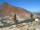 sequoianp579_small.jpg