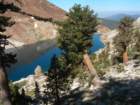 sequoianp580_small.jpg
