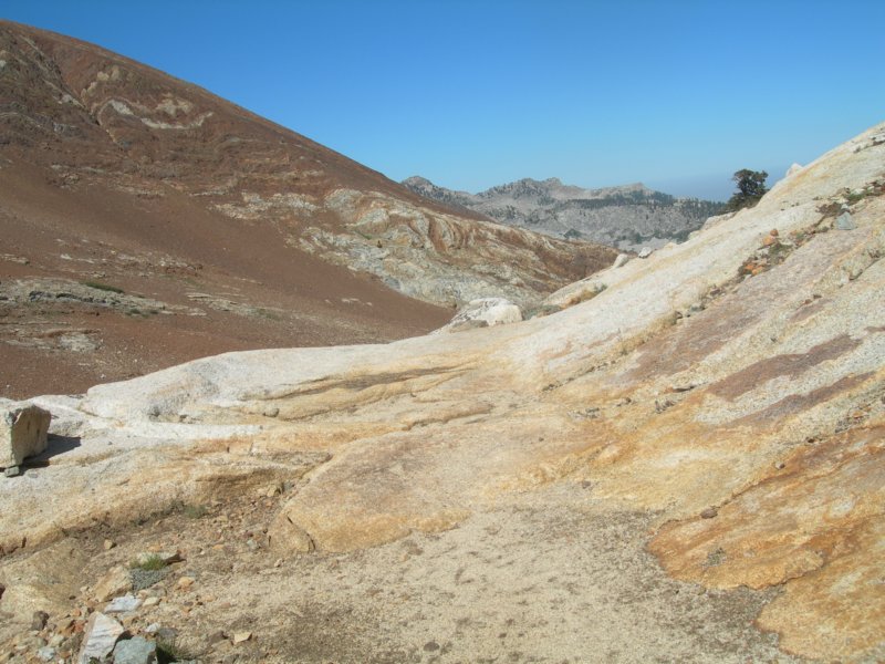 sequoianp589.jpg
