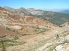 sequoianp590_small.jpg