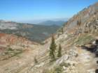 sequoianp591_small.jpg
