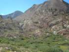 sequoianp596_small.jpg
