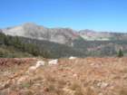 sequoianp598_small.jpg