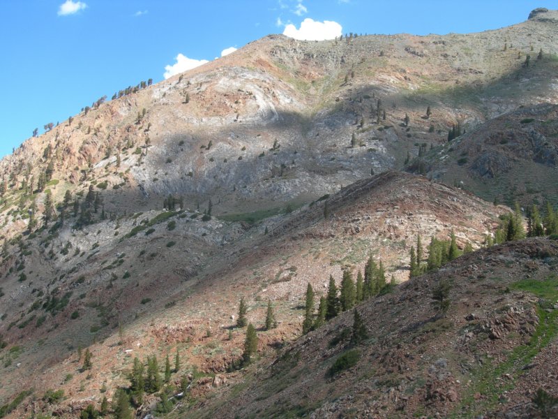 sequoianp599.jpg