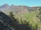 sequoianp603_small.jpg
