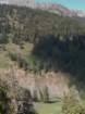 sequoianp605_small.jpg