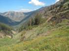 sequoianp608_small.jpg