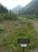sequoianp622_small.jpg