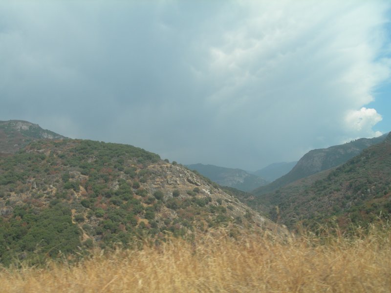 sequoianp624.jpg
