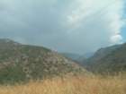sequoianp624_small.jpg