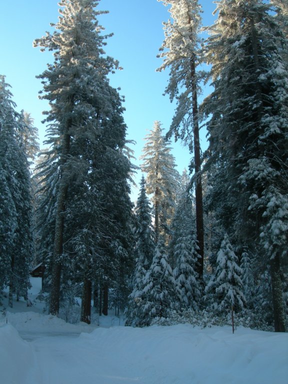 photo11.jpg