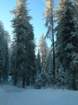 photo11_small.jpg