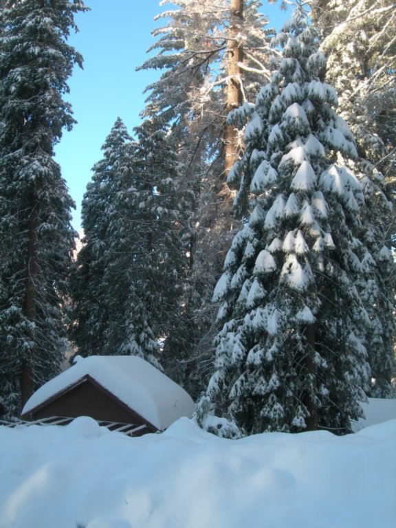 photo13.jpg