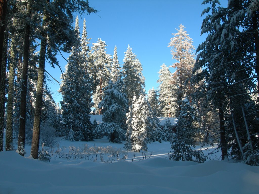 photo14.jpg
