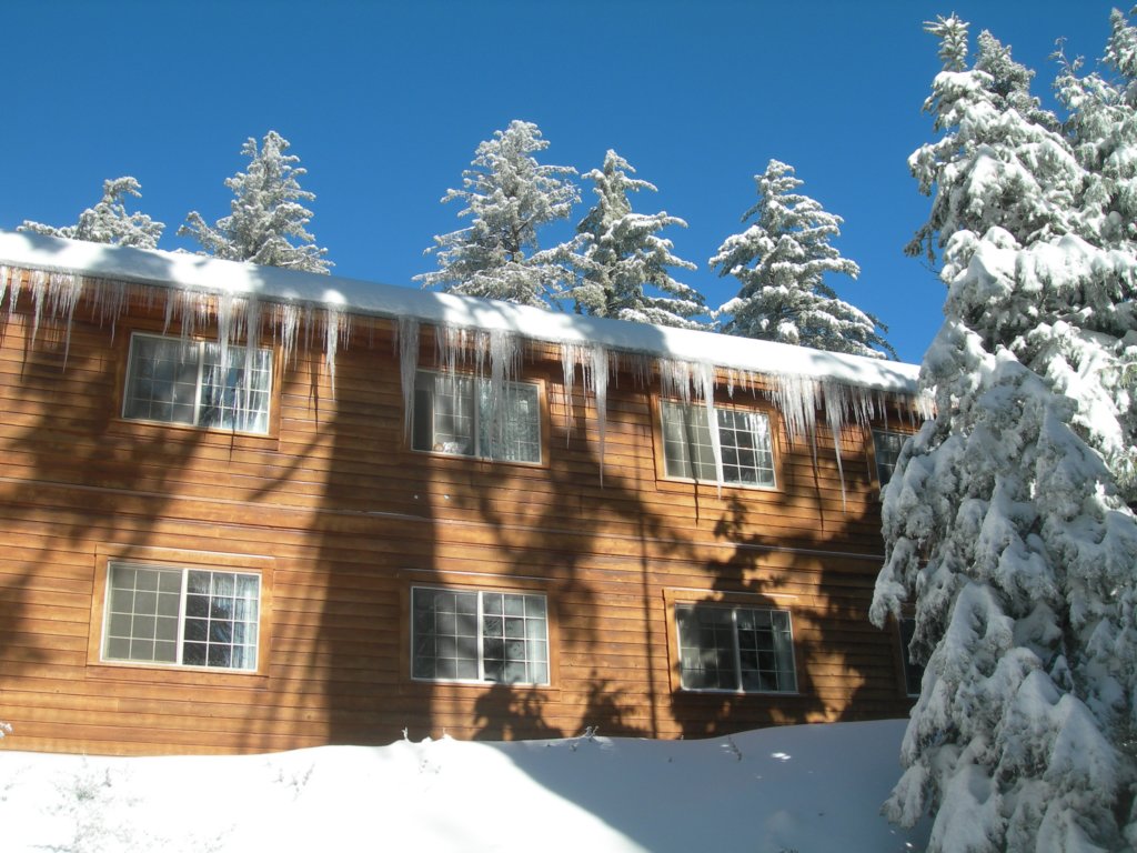 photo25.jpg