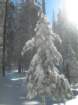 photo29_small.jpg